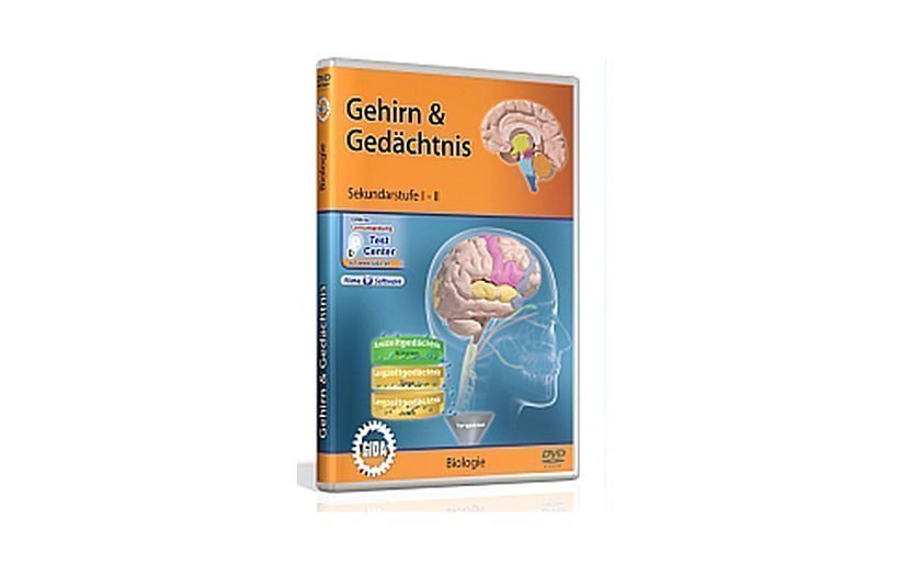 Cover von Gehirn und Gedächtnis