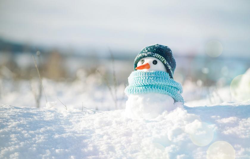 Schneemann mit Karottennase, Mütze und Schal