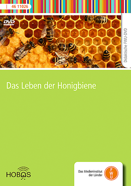 Cover von Das Leben der Honigbiene