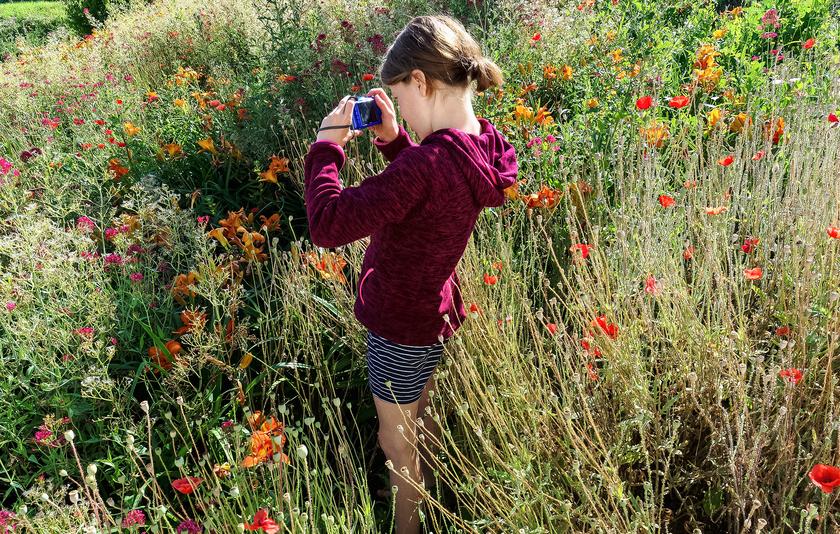 Grundschülerin mit Kamera in einer Blumenwiese Grundschülerin mit Kamera in einer Blumenwiese