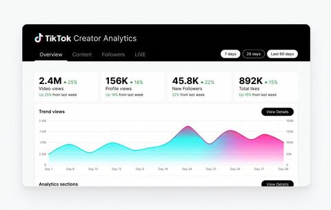 Besuchszahlen eines TikTok-Accounts Statistik mit Besuchszahlen eines TikTok-Accounts