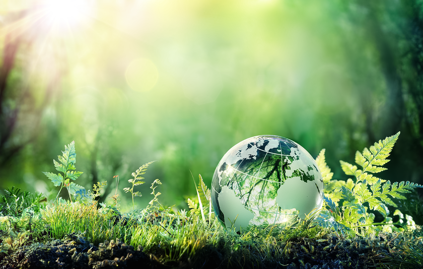 Glas-Erdkugel liegt auf Moos