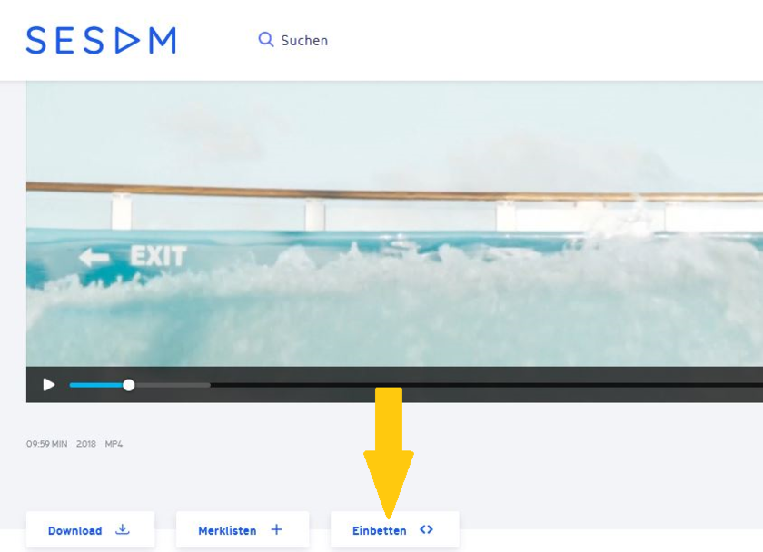 Screenshot zur Verwendung des Embedded Links in SESAM – Schritt 2
