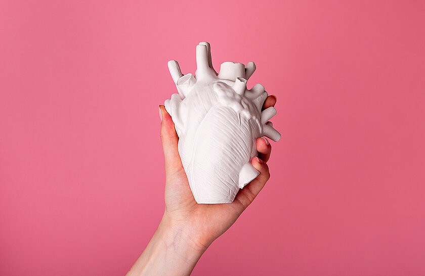 Bild AdobeStock 486936145 (valiantsin). Hand hält menschliches Herz.