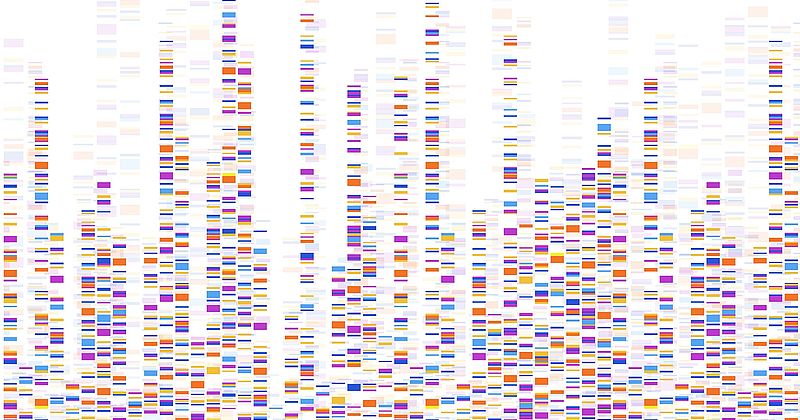 Infografik eines DNA Tests