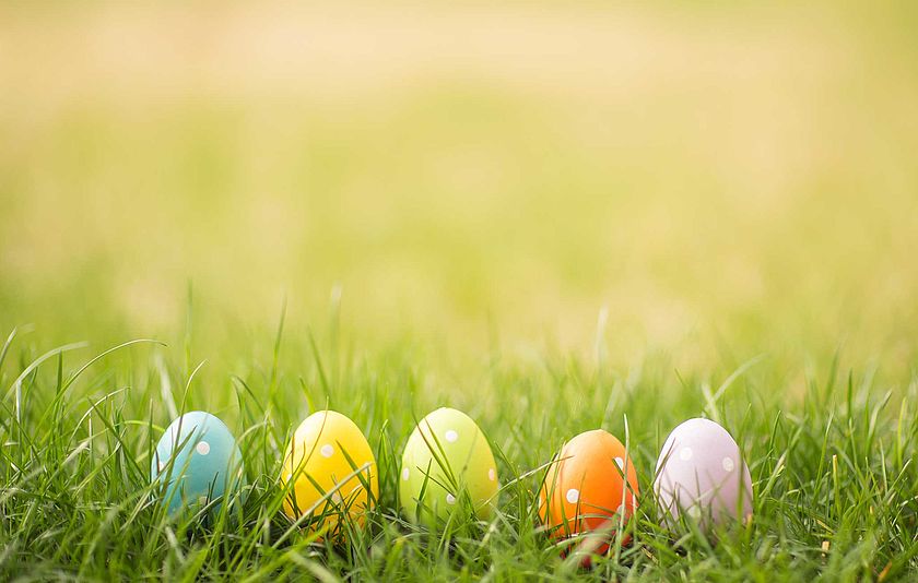 Bunte Ostereier im Gras