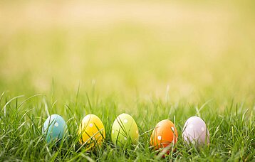 Bunte Ostereier im Gras