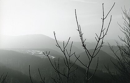 Schwarz-Weiß-Aufnahme von kahlen Ästen vor der Landschaft der Schwäbischen Alb.