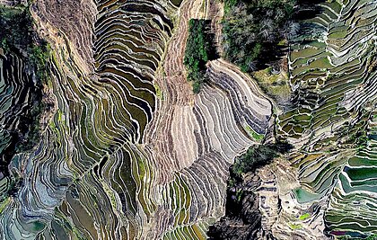 Luftaufnahme: Berghang mit wassergefüllten Reisfeldern