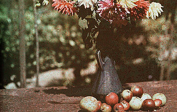 Ausschnitt Fotografie Blumen und Äpfel, um das Jahr 1920.