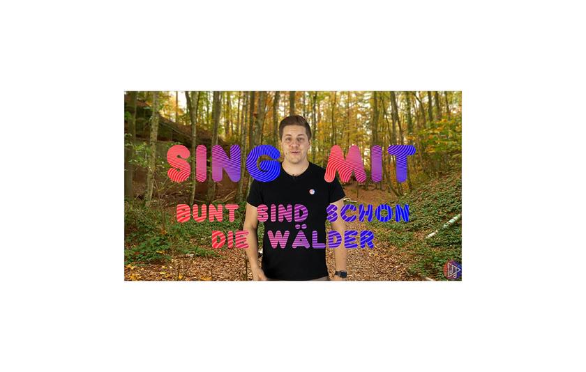 Cover Medium "Bunt sind schon die Wälder"