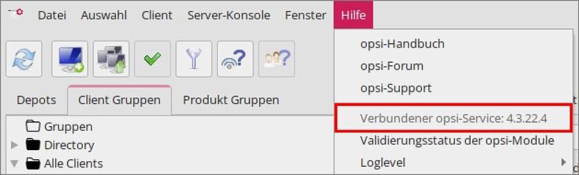 Screenshot LMZ: opsi-Version ermitteln