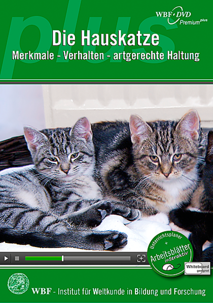 Cover von Die Hauskatze