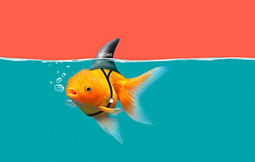 Goldfisch mit Haiflosse