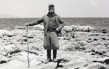 Schäfer mit seiner Herde am Meer bei Kastelli Kissamos, Kreta (1987).