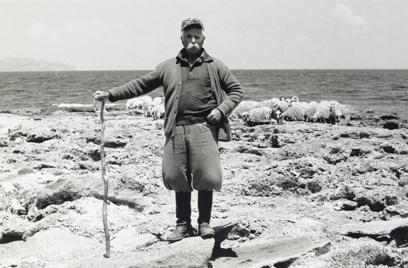 Schäfer mit seiner Herde am Meer bei Kastelli Kissamos, Kreta (1987).