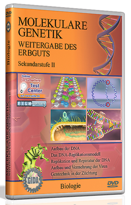 Cover von Molekulare Genetik, Weitergabe des Erbguts