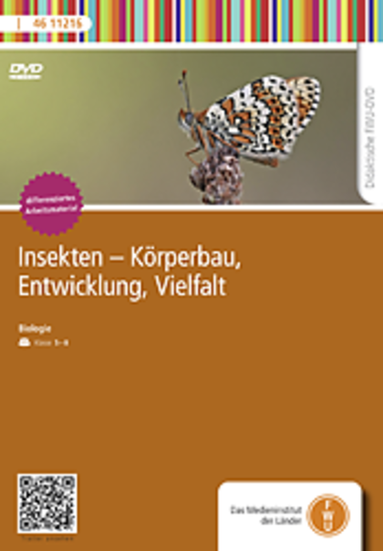 Cover von Insekten, Körperbau, Entwicklung, Vielfalt